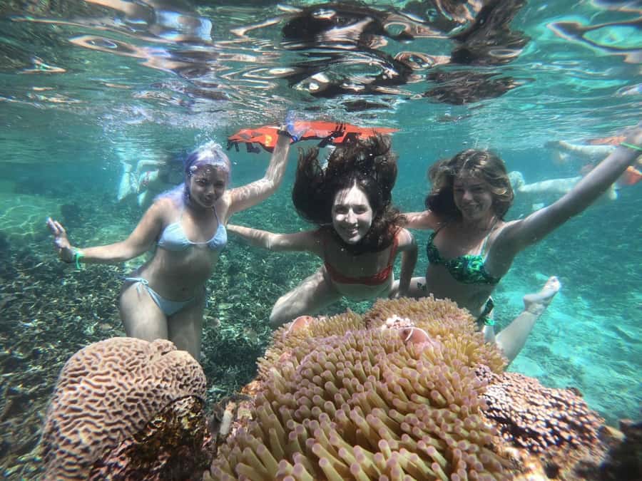 Koh Samui: Private Speedboat Charter – Custom Island Routes - Lunch, Pha Luai Island, and what you pay extra