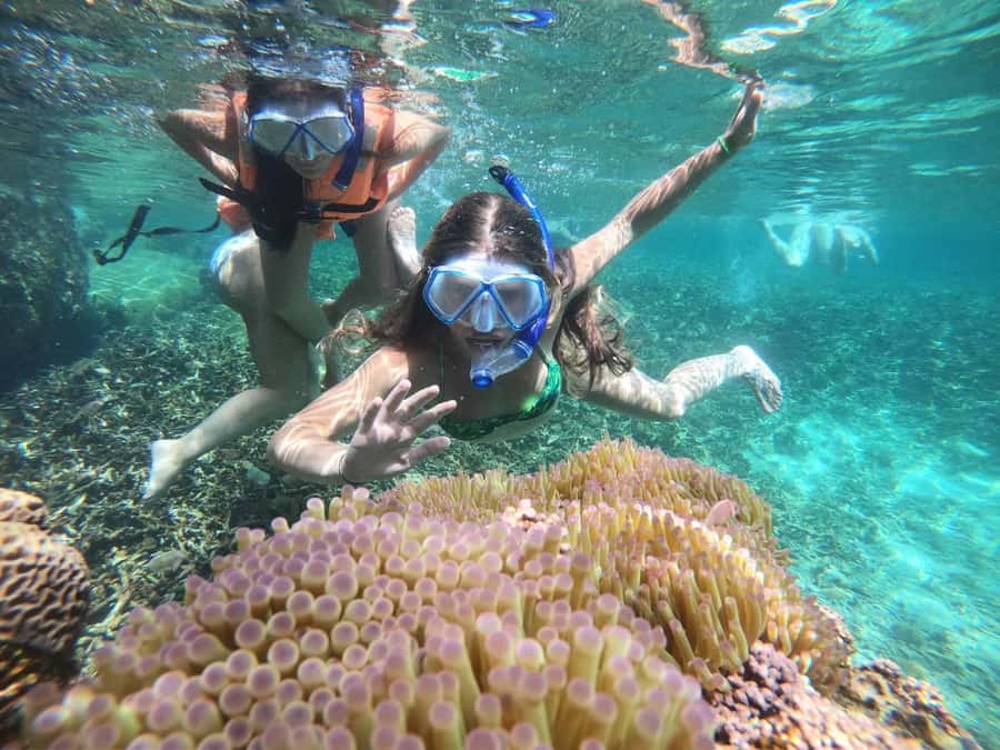 Koh Samui: Private Speedboat Charter – Custom Island Routes - Is the $385 price worth it?