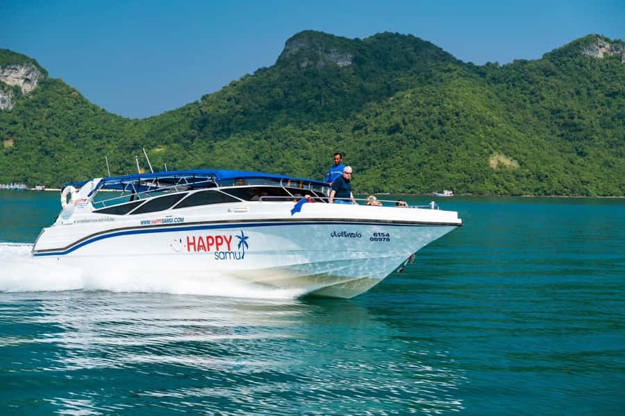 Koh Samui: Private Speedboat to Pig Island with Snorkeling - Key points to know before you book