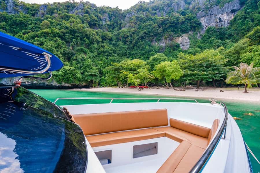 Koh Samui: Private Speedboat to Pig Island with Snorkeling - What your time at Koh Madsum is really like