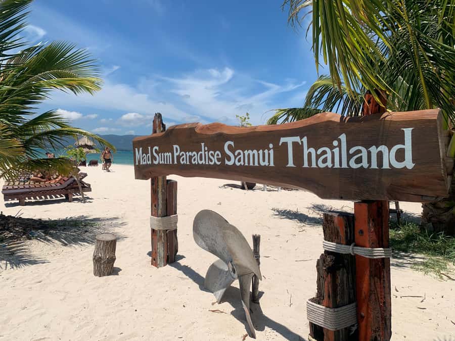 Koh Samui: Private Speedboat to Pig Island with Snorkeling - Hotel pickup makes the morning easier