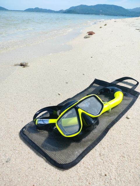 Koh Samui: Private Speedboat to Pig Island with Snorkeling - Who should book this Koh Samui outing?