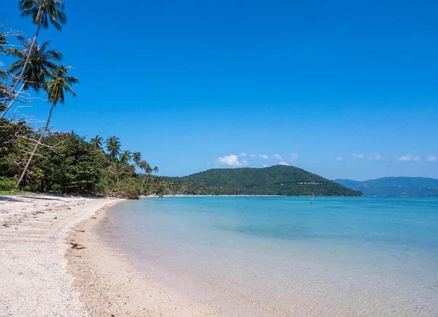 Koh Samui: Private Speedboat Tour to Koh Madsum and Koh Tan - Should you book the Koh Madsum and Koh Tan tour?