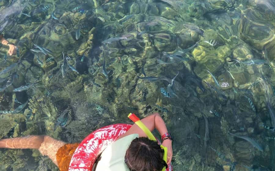 Koh Samui: Snorkeling and Kayaking by Speedboat - Lunch on the sand