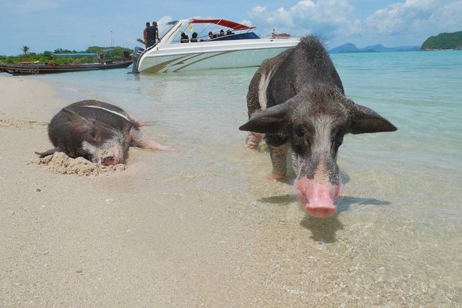 Koh Tan and Koh Madsum Snorkeling Trip By Speedboat From Koh Samui - Group size, timing, and the crowding question
