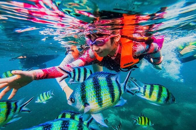 Koh Tao and Koh Nang Yuan Snorkel Tour (Speedboat from Koh Samui) - The day begins with a hotel pickup and a small breakfast