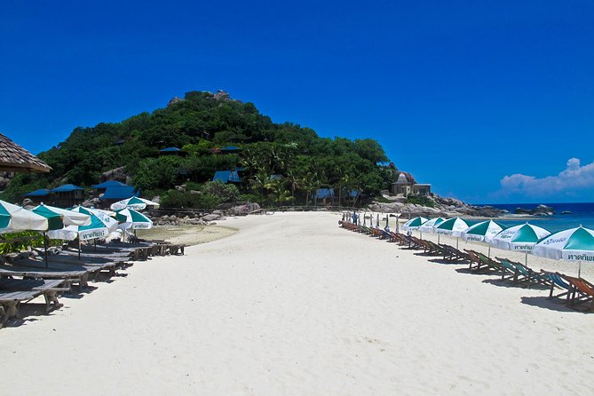 Koh Tao and Koh Nang Yuan Snorkel Tour (Speedboat from Koh Samui) - What makes this trip work well