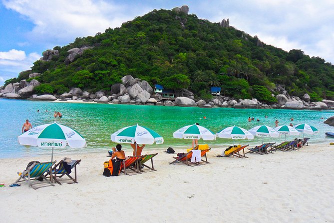 Koh Tao and Koh Nang Yuan Snorkel Tour (Speedboat from Koh Samui) - Who should book this Koh Tao day trip?