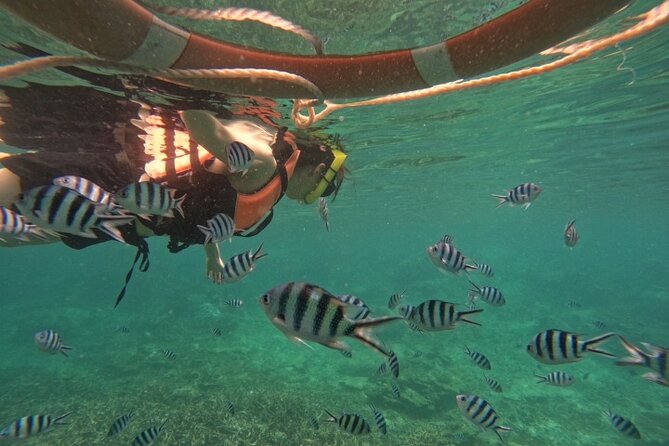 Koh Tao and Koh Nang Yuan Speedboat Tour from Koh Phangan - Lunch, drinks, and what is actually included