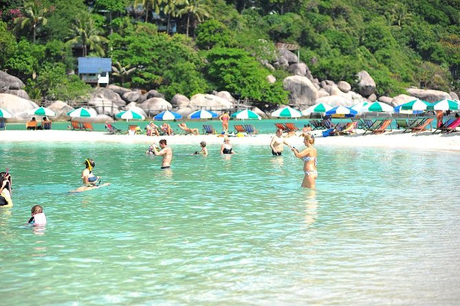 Koh Tao and Koh Nang Yuan Speedboat Tour from Koh Samui - Who will get the most from this Koh Tao trip