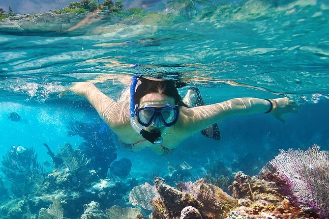 Koh Tao and Koh Nangyuan Snorkeling Tour by Speedboat from Ko Samui - Key points to know before you book