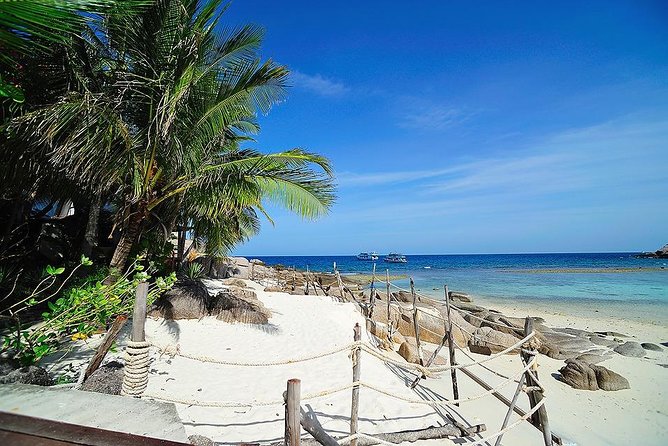 Koh Tao & Koh Nangyuan by Speed Boat (Snorkeling trip from Koh Samui) - Lunch beside the beach