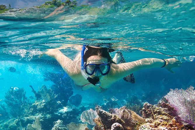 Koh Tao & Koh Nangyuan Snorkeling Tour by Speedboat from Ko Samui - Koh Nangyuan and its three linked beaches