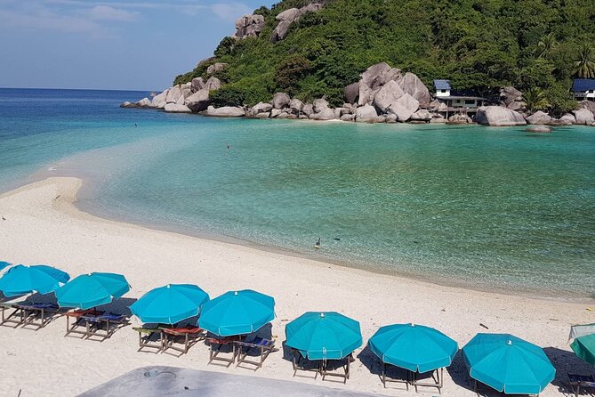 Koh Tao & Koh Nangyuan Snorkeling Trip By Speedboat From Koh Phangan - Hin Wong Bay and Tanote Bay