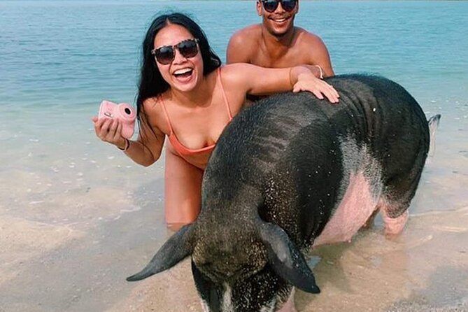 kohsamui.tours - Pig Island Snorkeling Eco Tour by Speed Boat - Key points to know before you book