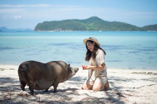 kohsamui.tours - Pig Island Snorkeling Eco Tour by Speed Boat - Why Pig Island is more than a photo stop