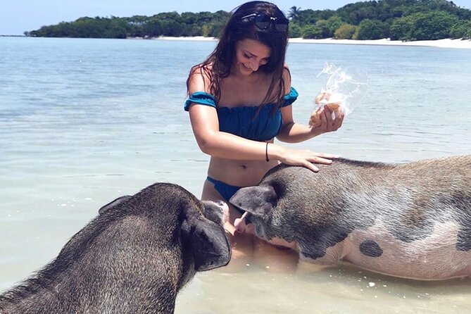 kohsamui.tours - Pig Island Snorkeling Eco Tour by Speed Boat - Who will enjoy this island trip most