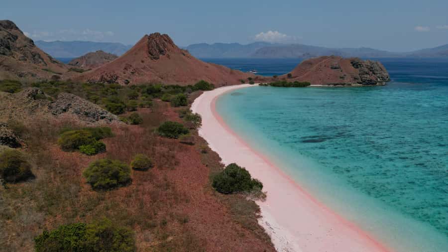 Komodo Full Day Speedboat Tour from Labuan Bajo - Key points at a glance