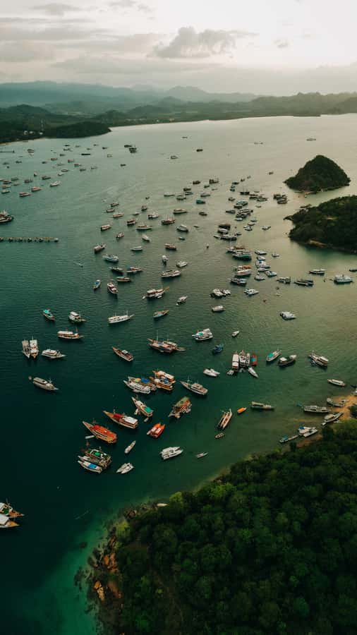Komodo Full Day Speedboat Tour from Labuan Bajo - Who will get the most from this tour