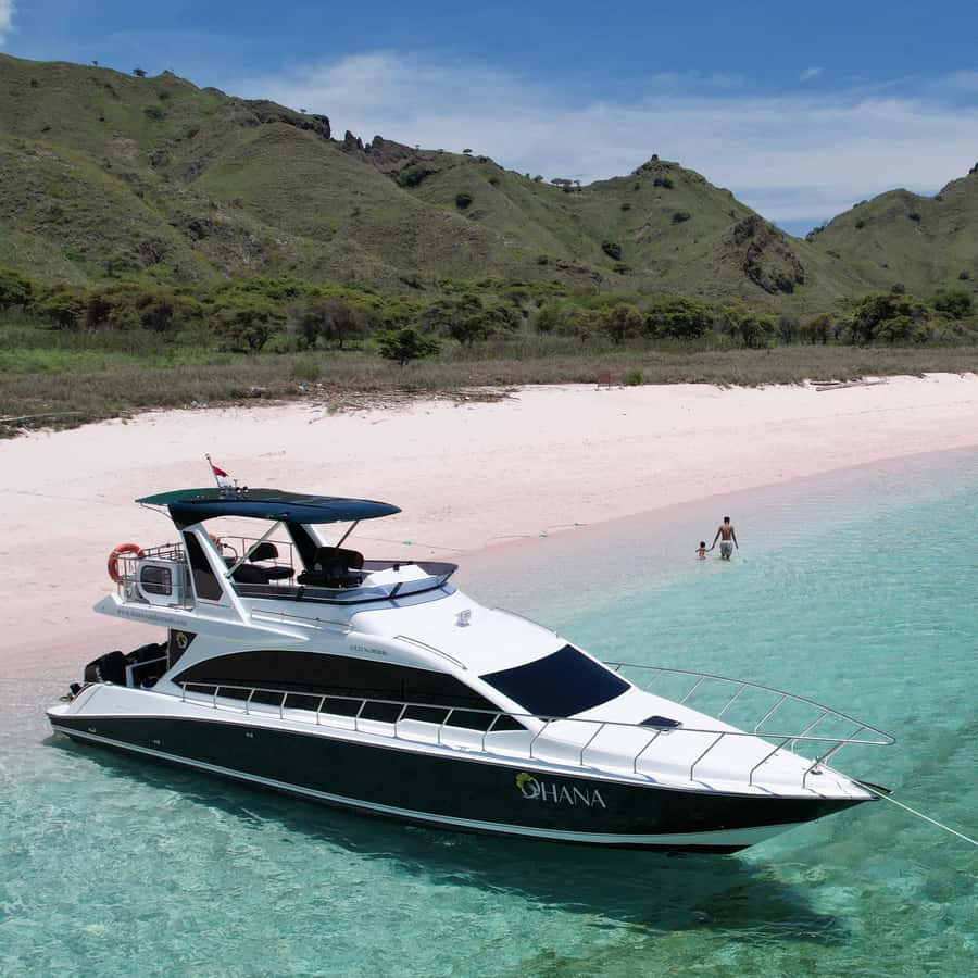 Komodo Full Day Speedboat Tour from Labuan Bajo - What the $117 price really covers
