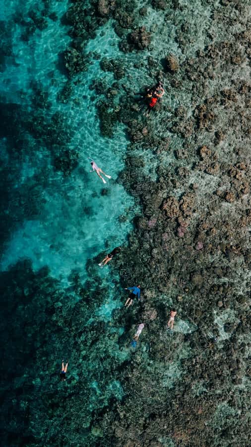 Komodo Full Day Speedboat Tour from Labuan Bajo - Comfort, safety, and the realities of a speedboat day