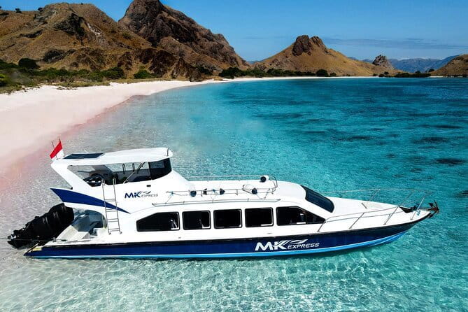 Komodo Islands with Speedboat in Labuhan Bajo - Manta Point offers the day’s biggest wildlife possibility