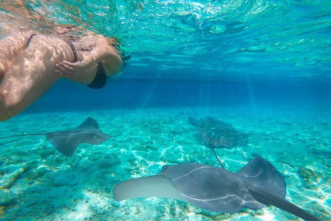 Komodo & Snorkeling Adventure by Private Speedboat - What Lunch and the Included Gear Mean