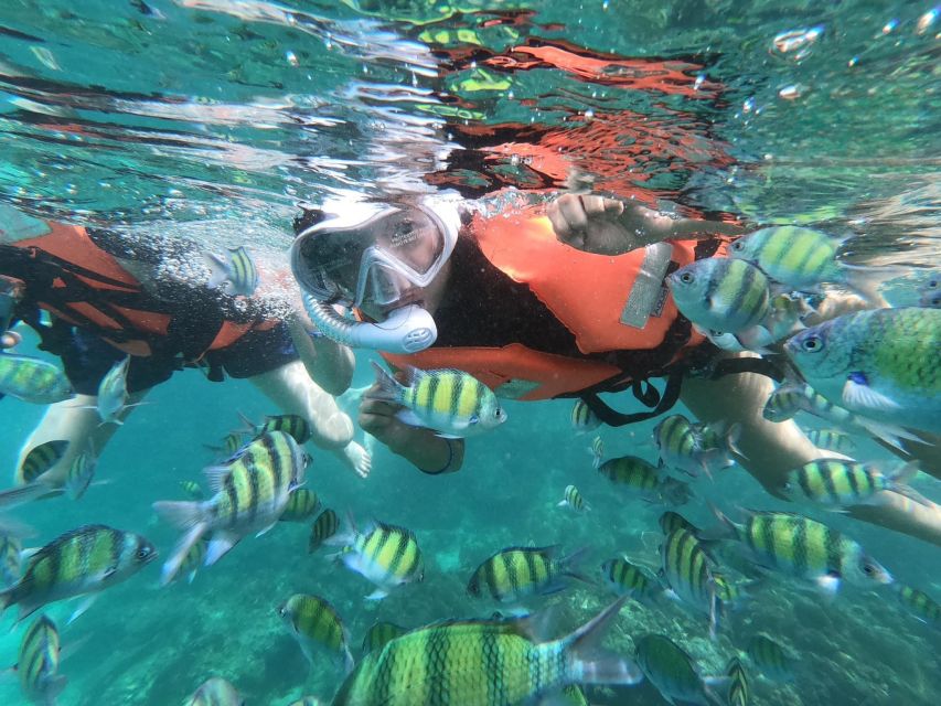 Krabi 4 Island One Day Tour by Speed boat or Longtail boat - Timing, crowds, and the real pace