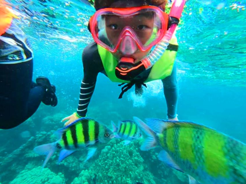 Krabi: Koh Rok & Koh Haa Hidden Snorkeling Tour by Speedboat - Koh Rok and Koh Haa, protected islands with a short season