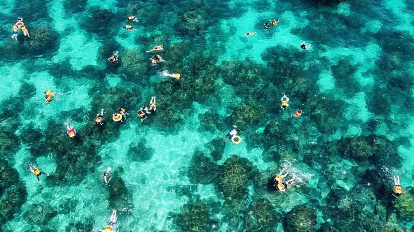 Krabi: Phi Phi and 4 Islands with Snorkeling by Speed Boat - Phi Phi Don brings lunch and local life