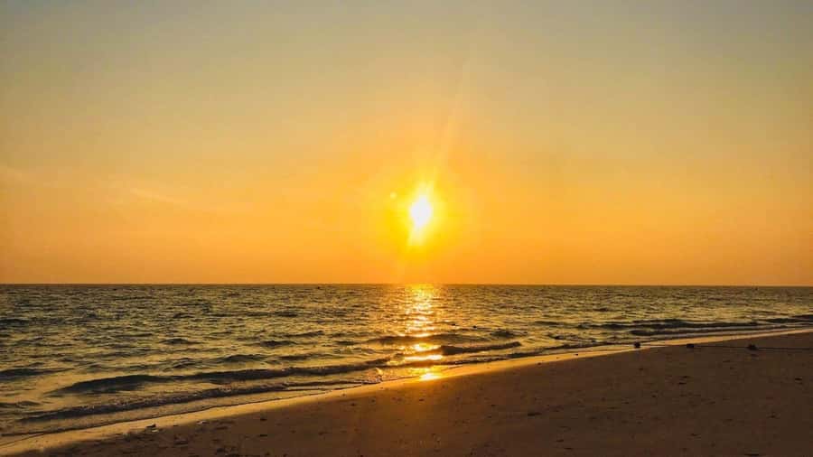 Krabi: Phi Phi Early Bird & 4 Island by Speedboat with Lunch - Phi Phi Don lunch and a practical break