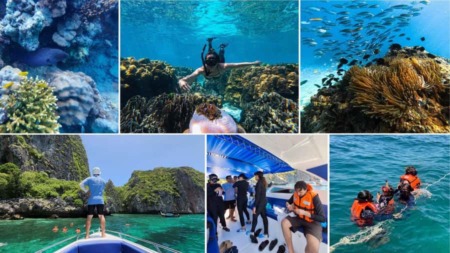 Krabi: Phi Phi Islands Full-Day Private Speedboat Charter - Who should book this Phi Phi charter