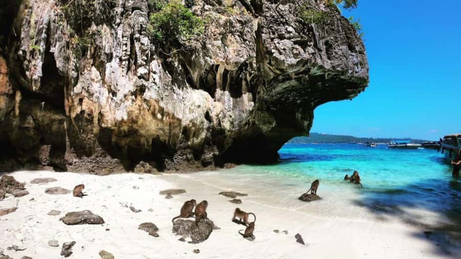 Krabi: Phi Phi Islands Full-Day Private Speedboat Charter - Should you book it?