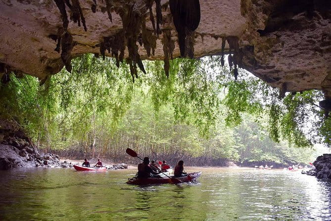 Krabi: Phi Phi, Maya Bay, Bamboo Island Speedboat Tour with Lunch - Snorkeling along Phi Phi Leh