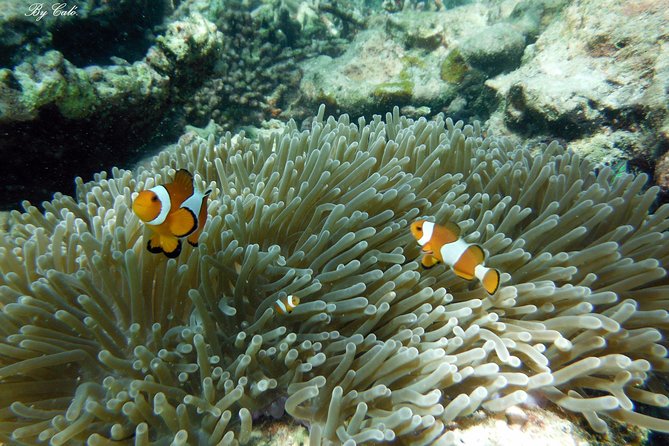 Krabi to James Bond and Hong Islands Offbeat Speedboat Tour - Starting from Ao Nang at 8:45