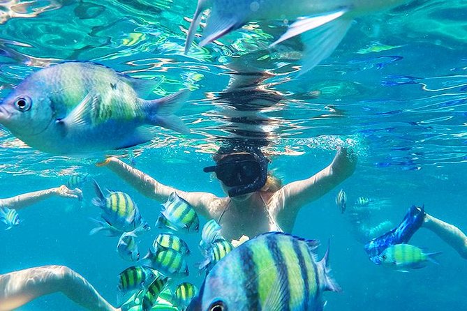 Krabi to Phi Phi Islands by Speedboat - Why the speedboat makes sense from Krabi