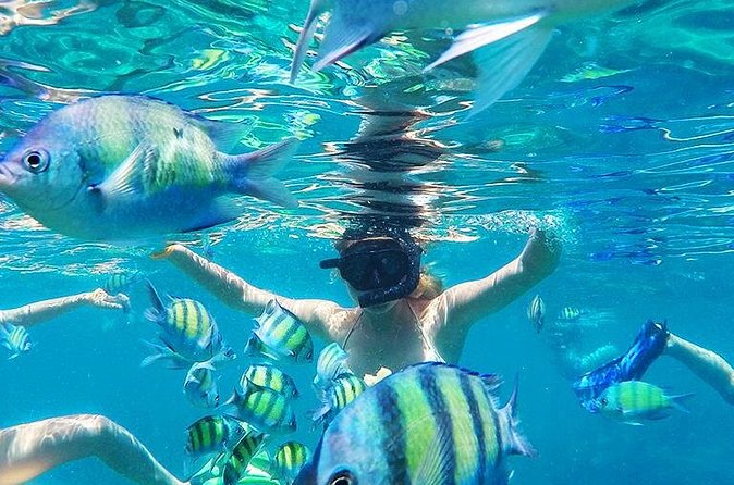 Krabi to Phi Phi Islands by Speedboat - Hotel pickup and the morning start