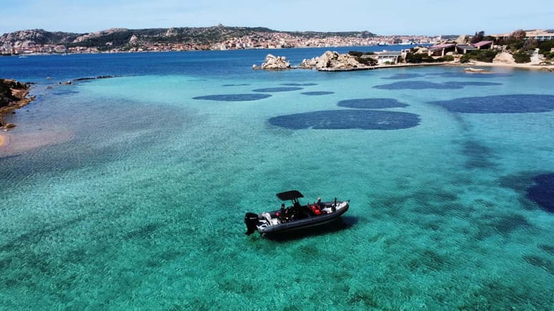 La Maddalena Archipelago: Private Trip by Zodiac (RIB) - Boarding from Palau, La Maddalena, or Poltu Quatu