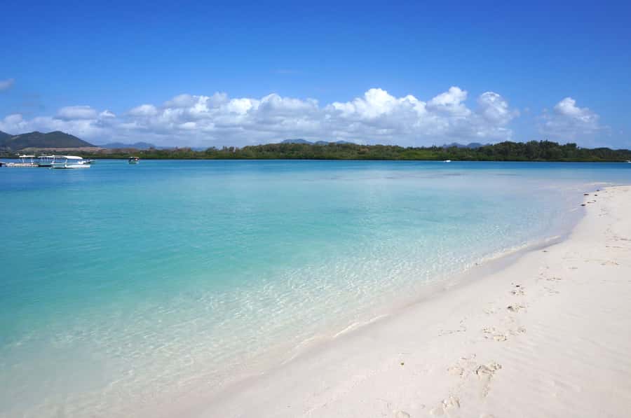 La Preneuse: Dolphin Swimming and Snorkeling Speedboat Trip - A fast start at La Preneuse Beach