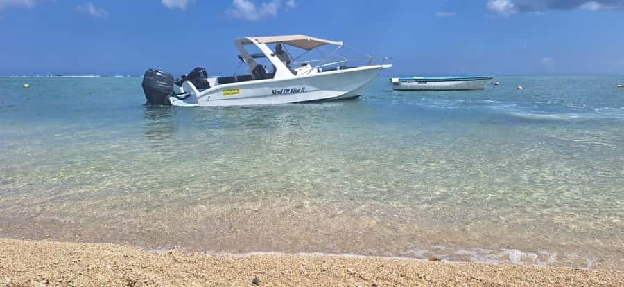 La Preneuse: Dolphin Watching and Snorkeling Speedboat Tour - Feliciano, Andy, Miguel, and the crew