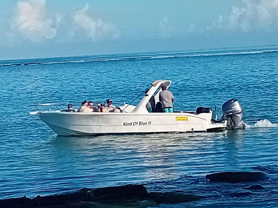 La Preneuse: Dolphin Watching and Snorkeling Speedboat Tour - Who should book this speedboat trip?