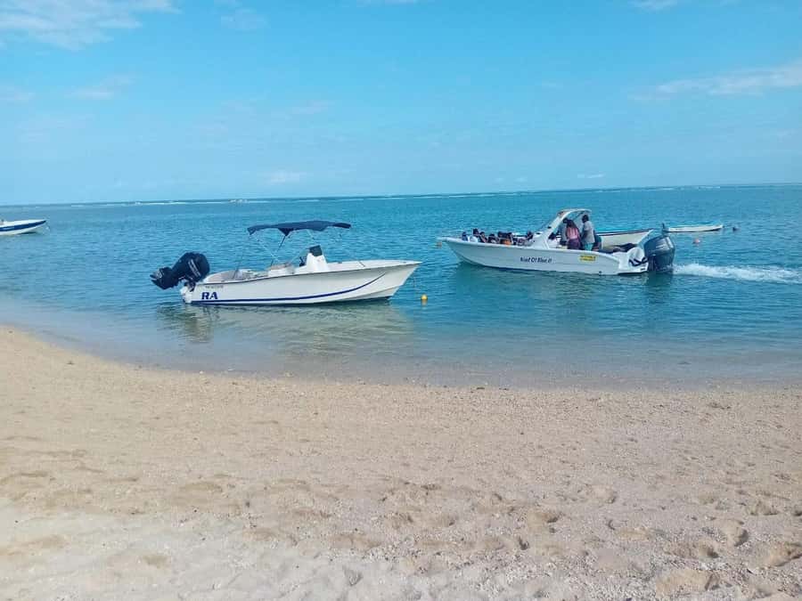 La Preneuse: Dolphin Watching and Snorkeling Speedboat Tour - Should you book it?