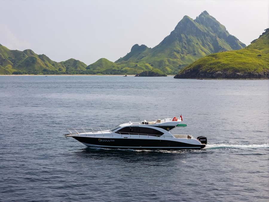 Labuan Bajo: Komodo National Park Full-Day Speedboat Tour - At a glance: six strong reasons to consider it