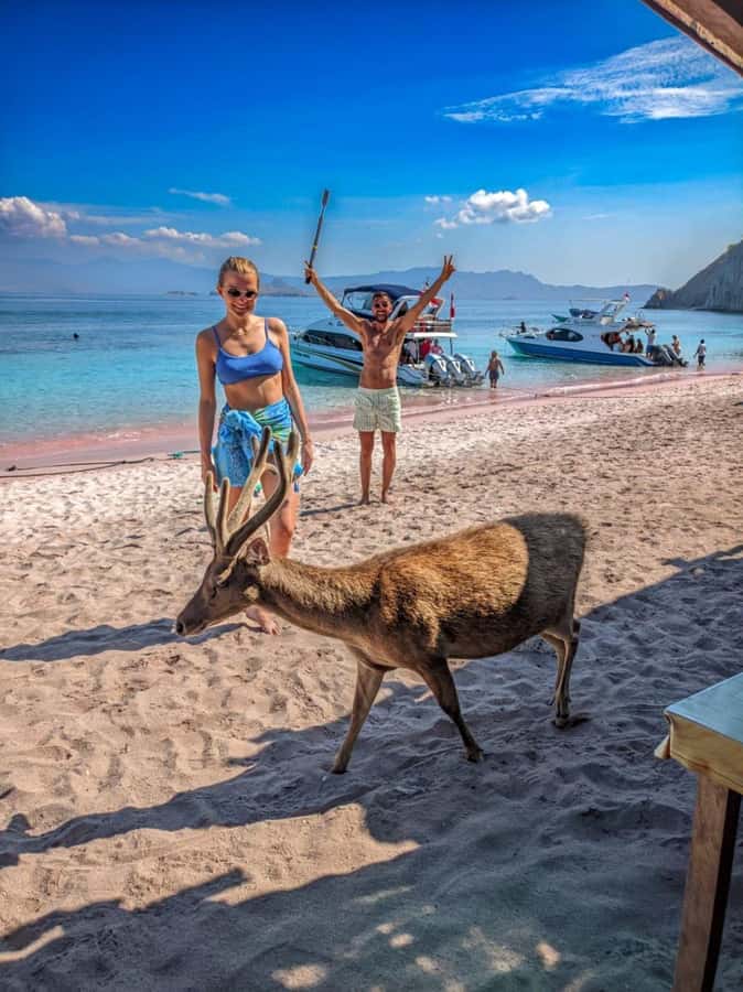 Labuan bajo: One Day Komodo Private & Shared Speedboat Trip - Is $143 a Fair Price?