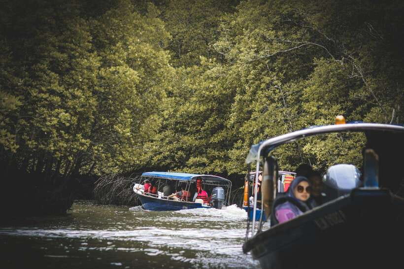 Langkawi: Tanjung Rhu Mangrove Speedboat Tour - What the $21 price really covers