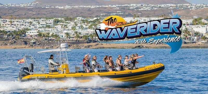 Lanzarote: Dolphin Watching by speedboat - Key points to know before booking