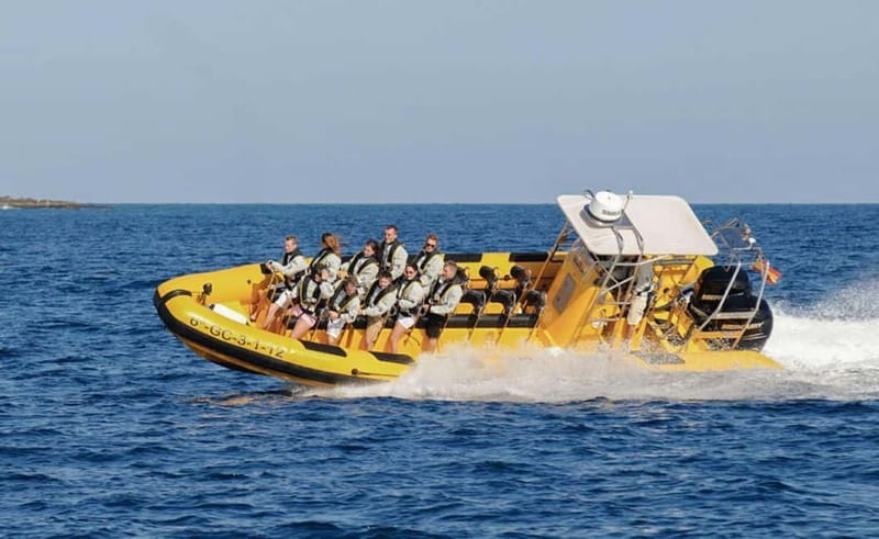 Lanzarote: Dolphin Watching by speedboat - How much value do you get for $77?