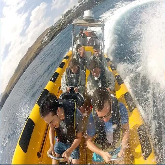 Lanzarote: Dolphin Watching by speedboat - The strongest reasons to book