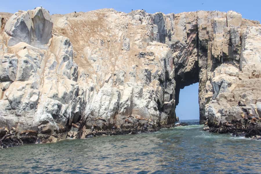 Lima: Palomino Islands Speedboat Tour & Swim with Sea Lions - Why this is one of Lima’s best half-day breaks