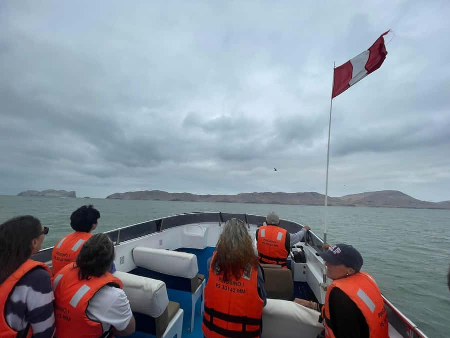 Lima: Palomino Islands Speedboat Tour & Swim with Sea Lions - A Pacific birdwatching stop with real variety